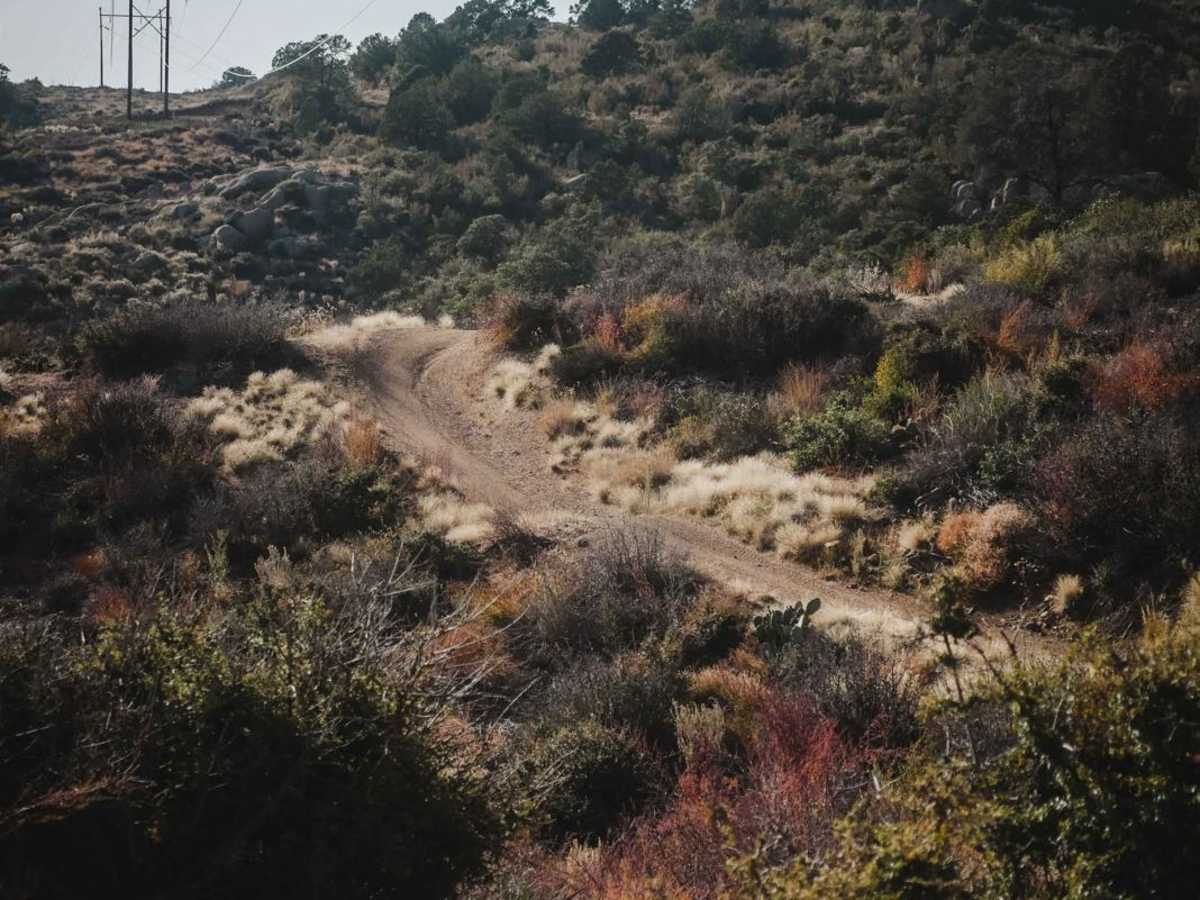 Trail 9 photo 2