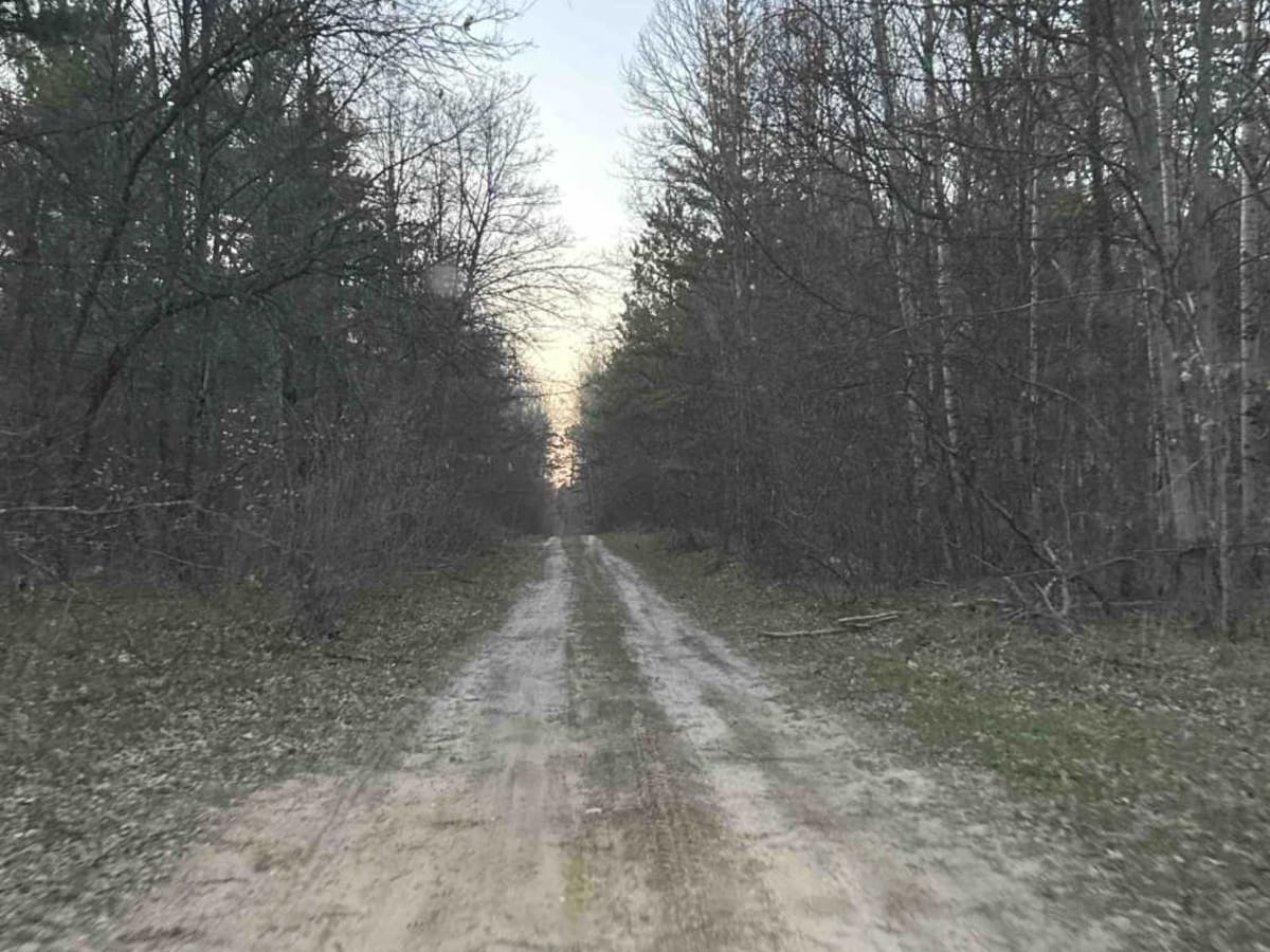 FS 4517 photo 5