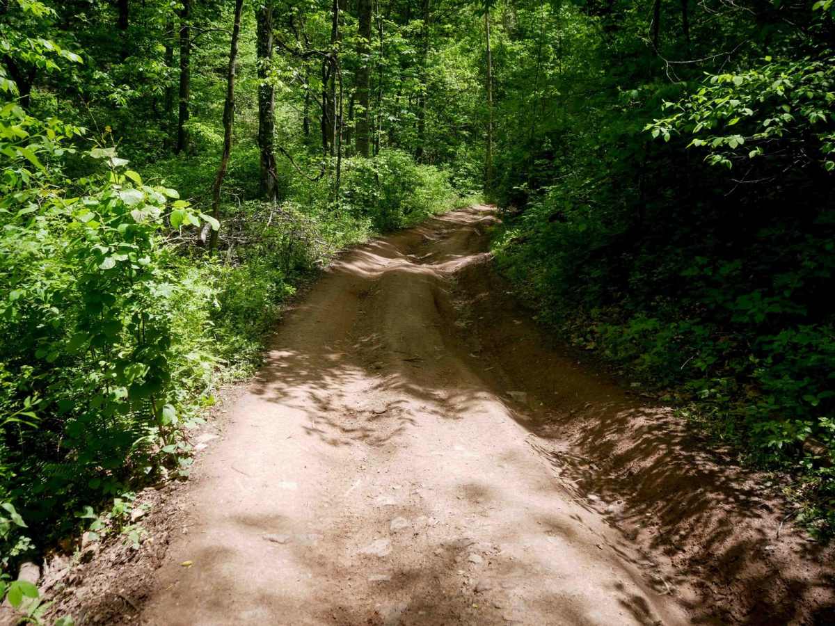 Trail 17 photo 5