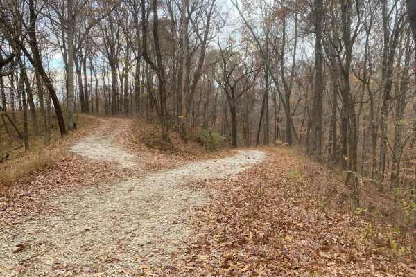 Turkey Trot FSR 627/643