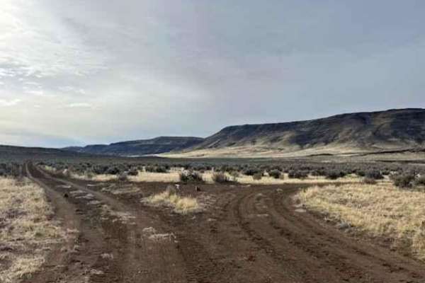 Jackrabbit Run