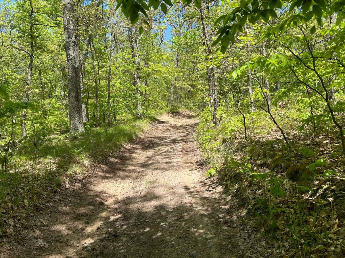 Podunk River Access photo 4