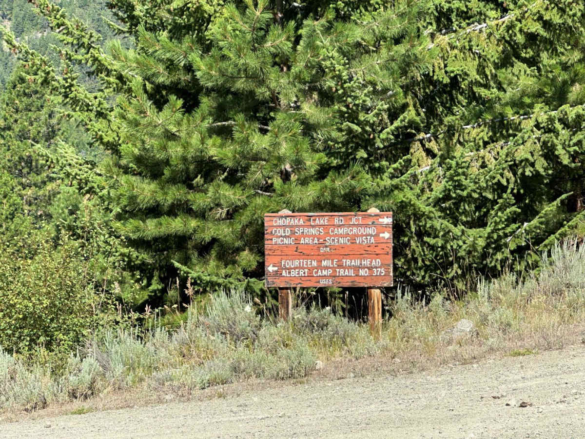 Loomis Forest Nine Mile photo 4