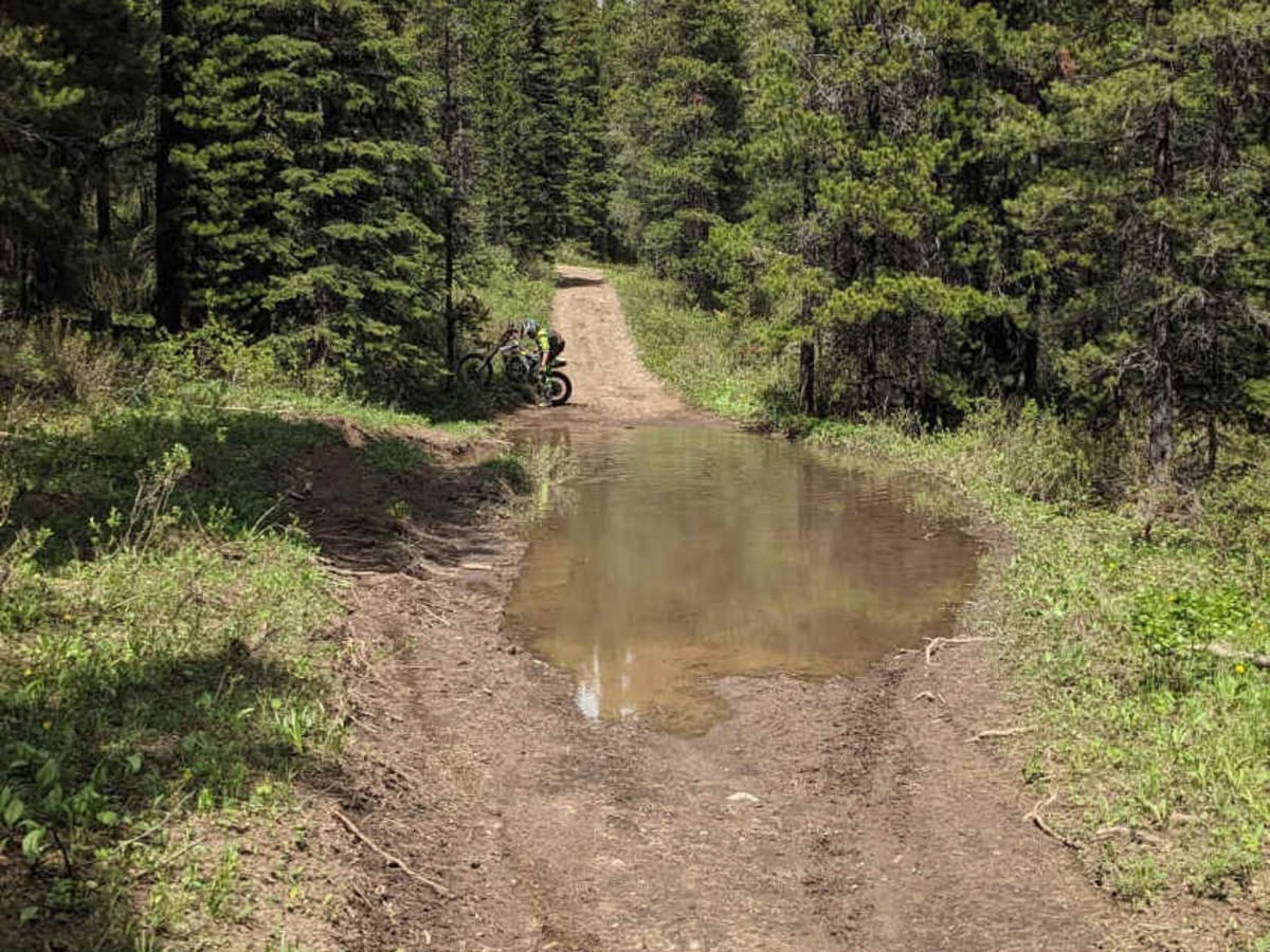 Allison creek Trail photo 5