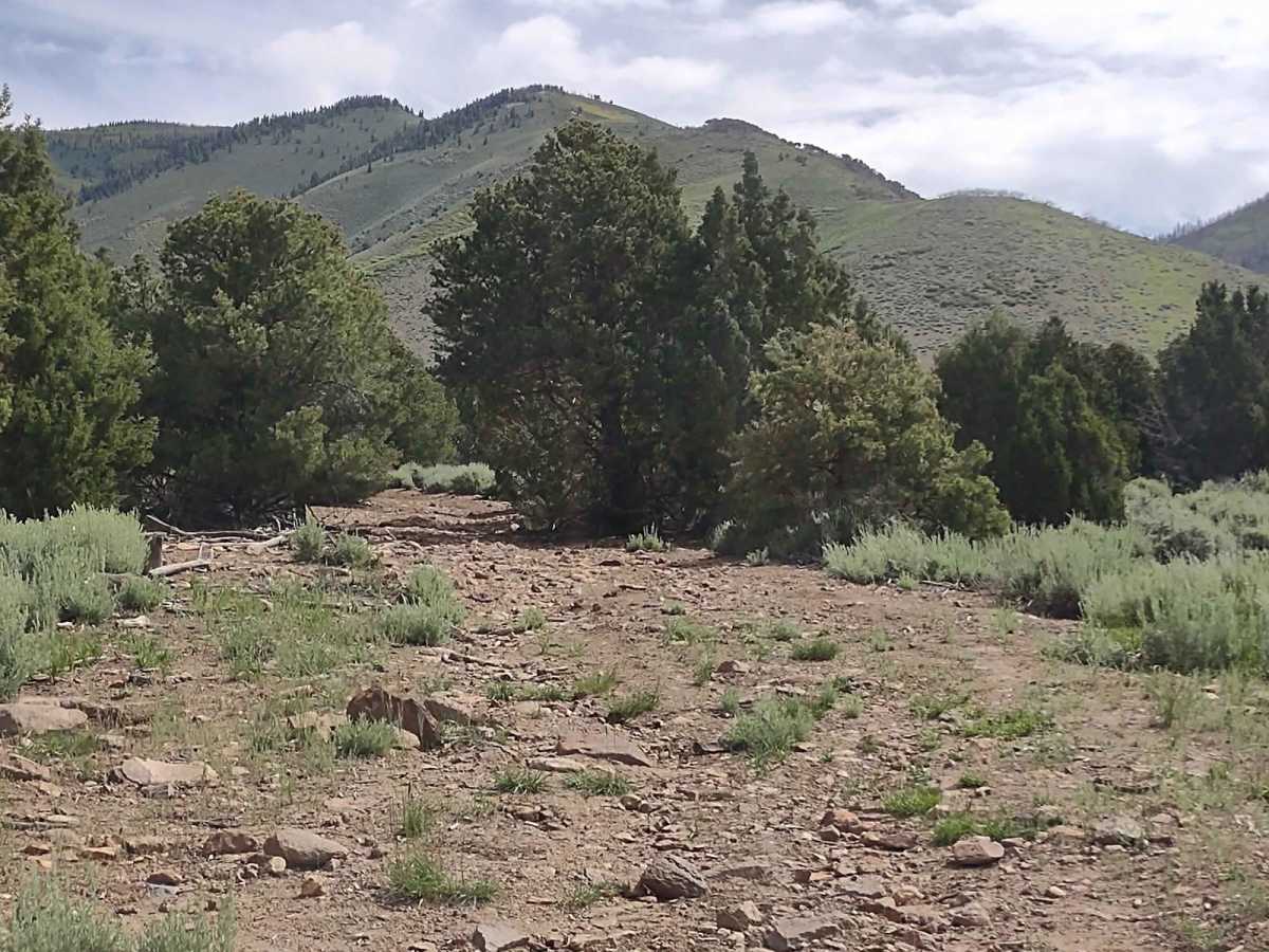 Alternate Smith Canyon Access (FS# 4923) photo 2