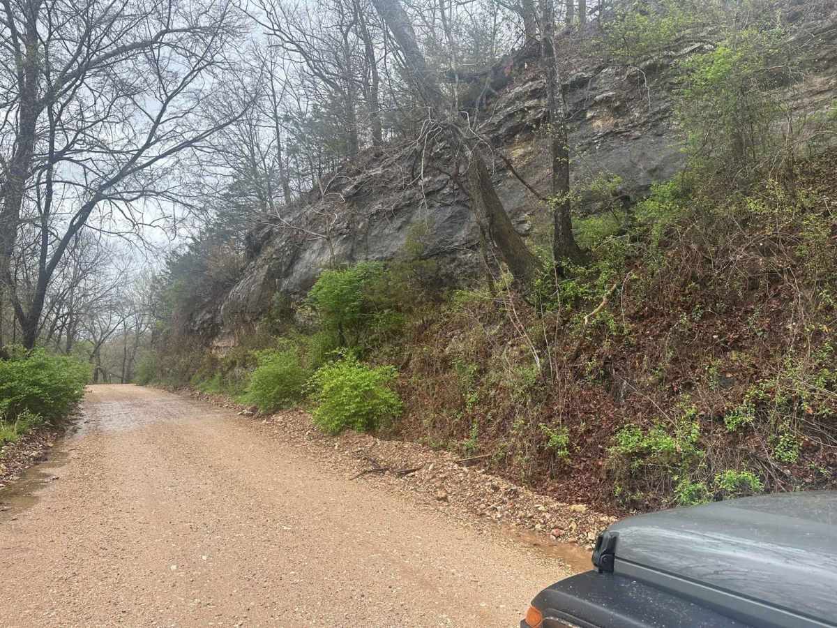 Bluff Run trail photo