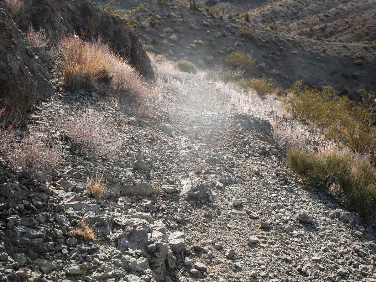 Rollercoaster Ridge ATV Trail photo 4