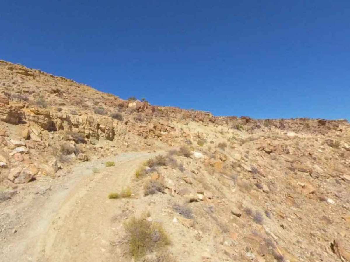 BLM13310 photo 6