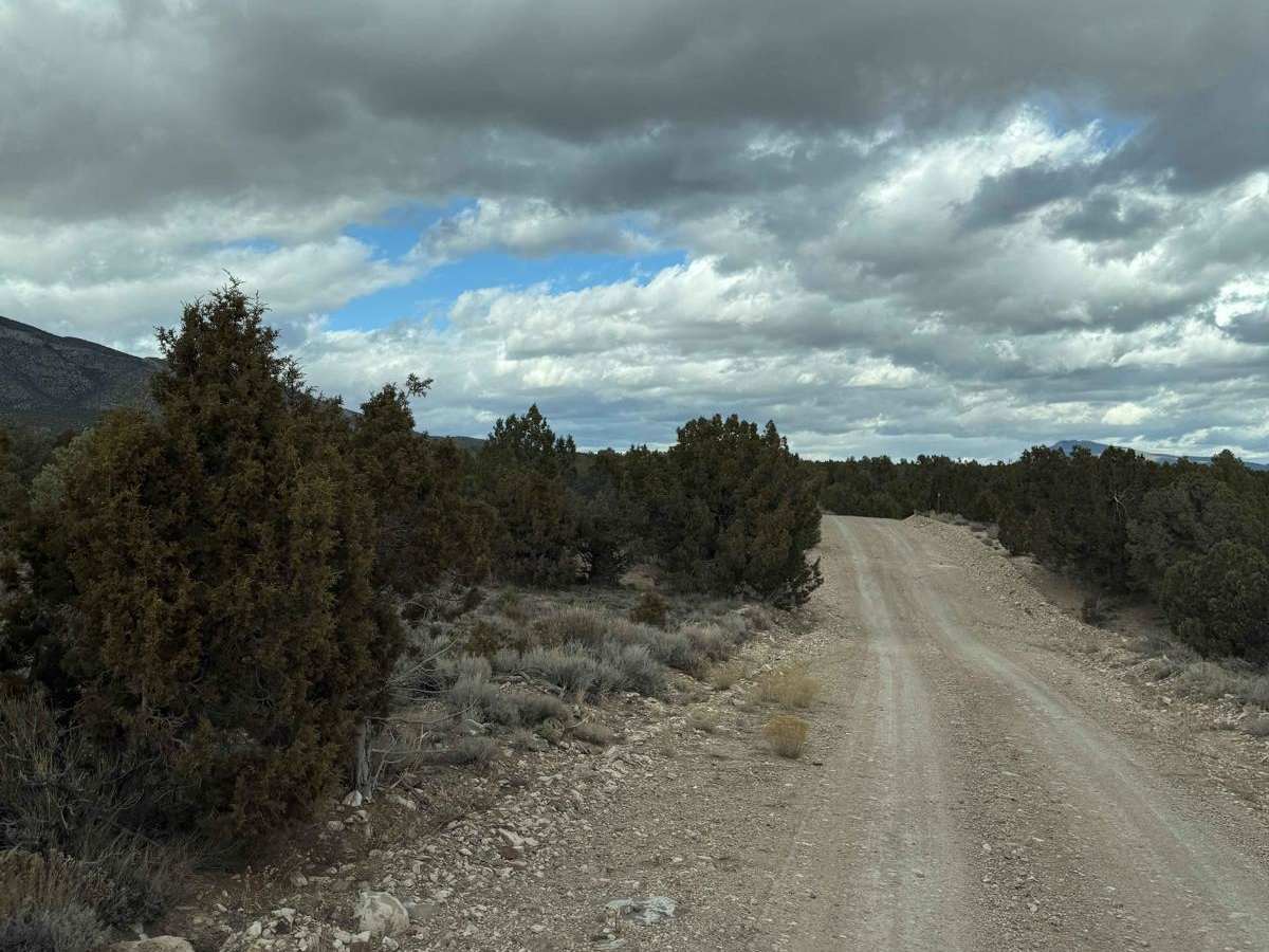 Muleshoe Valley Road photo 5