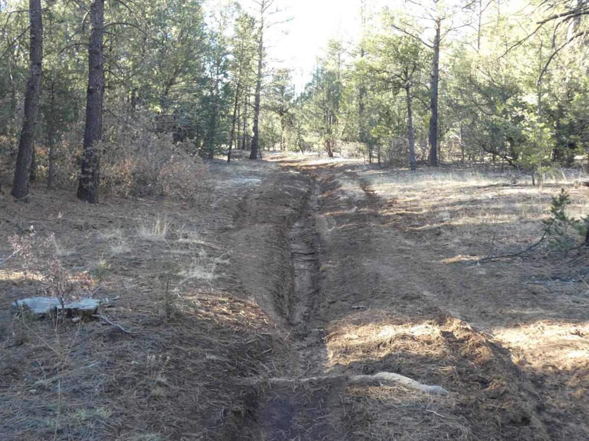 Barberro Mesa Drop photo 5