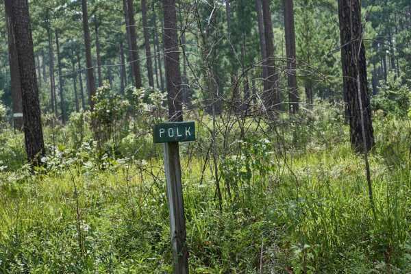 Polk Road