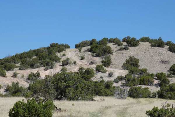 Sierra Negra Canyon