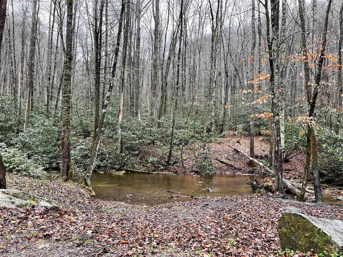 Creek Side Scenic Drive photo 4