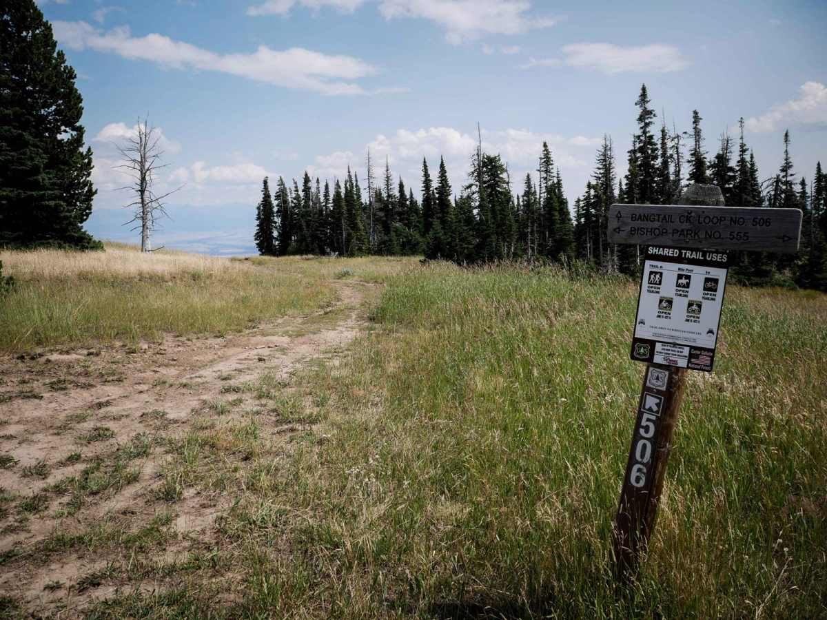 Bangtail Creek Loop ATV trail photo