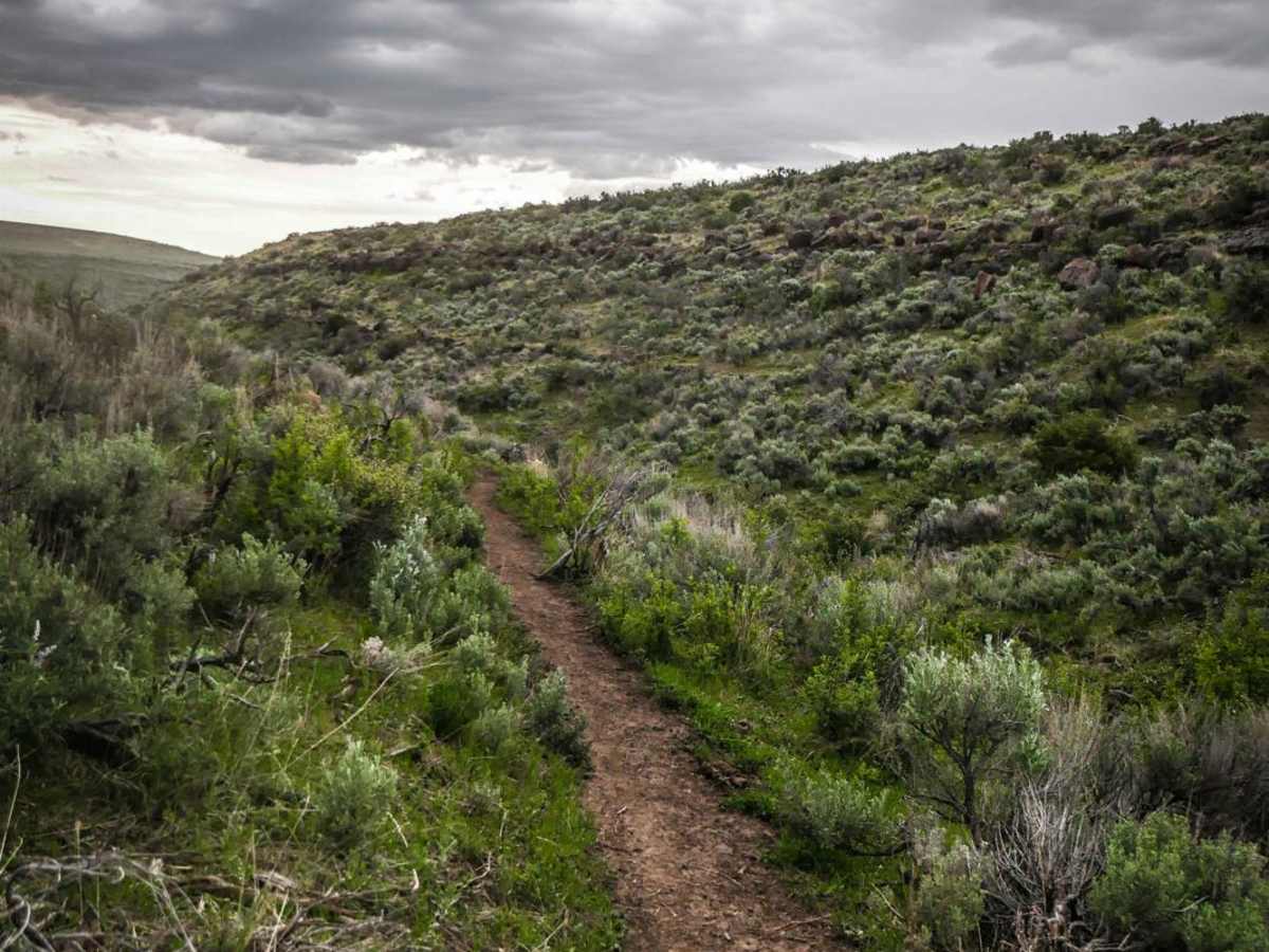 Upper Dry Gulch photo 4