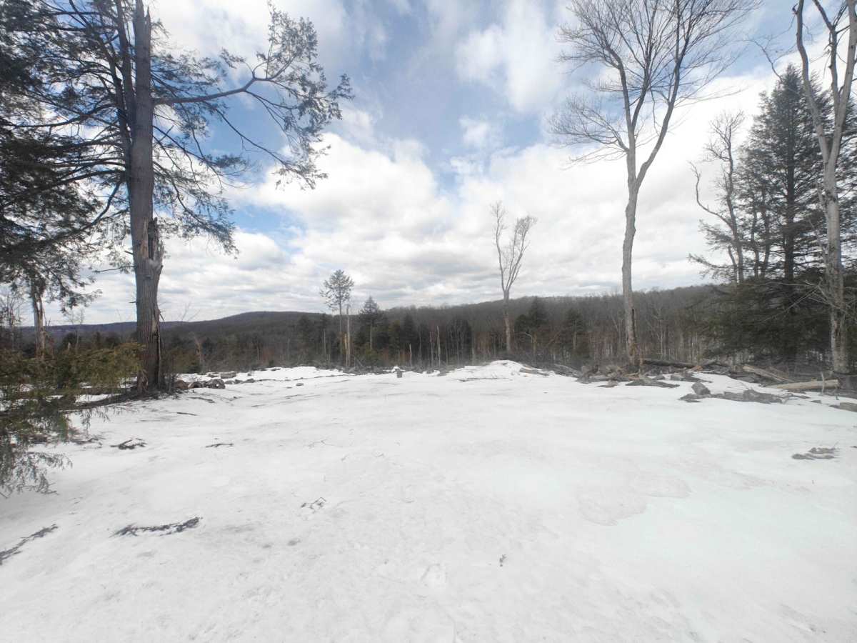 Dispersed Camping Road - FSR 259 photo 5