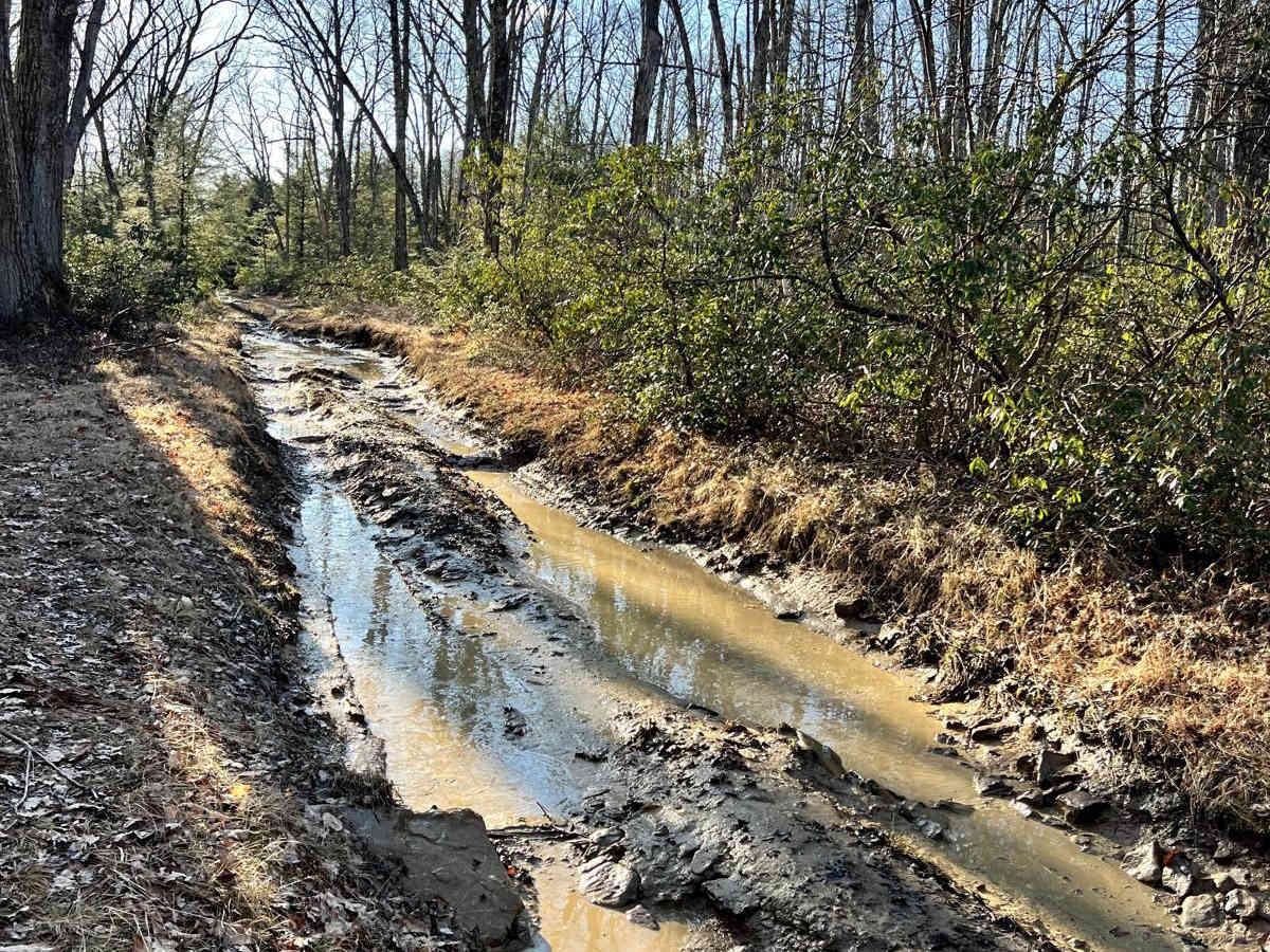 Sharpback Hollow Road photo 3