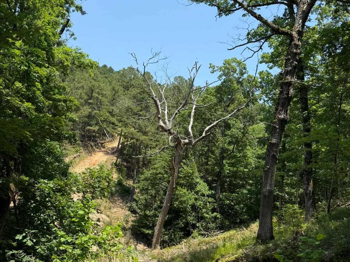 Hunter's Trail photo 3