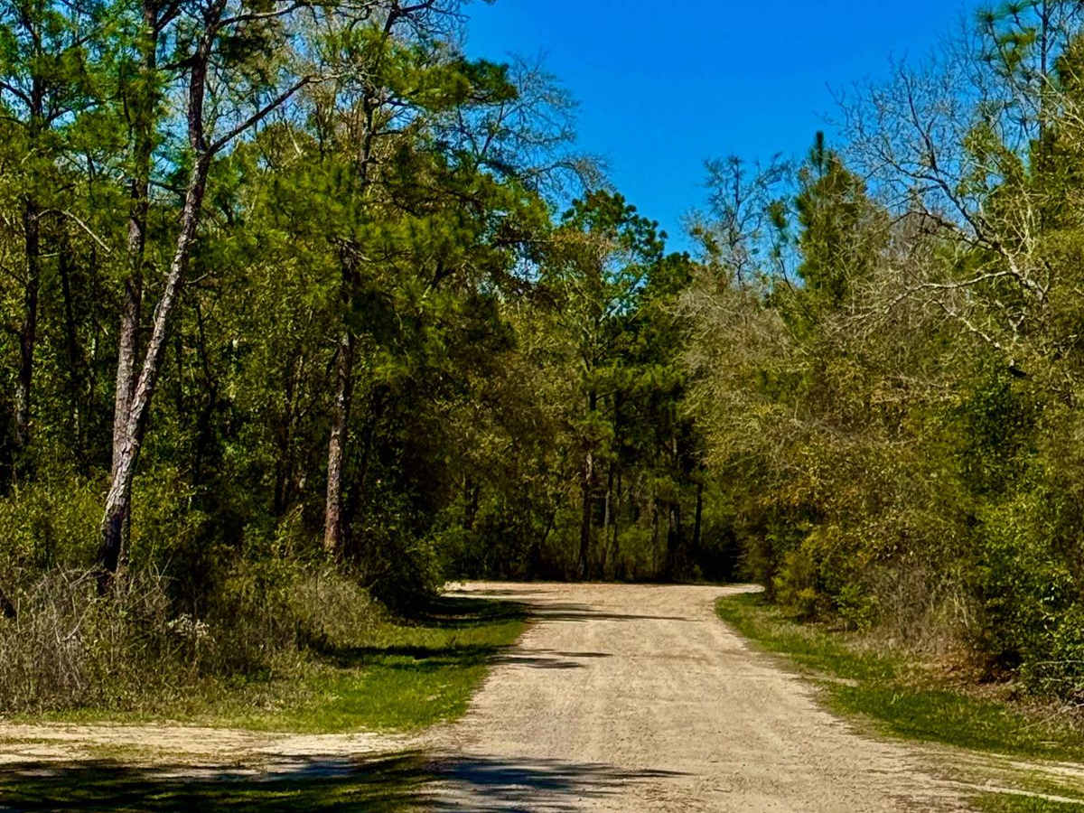 Turkey Flat Road photo 2