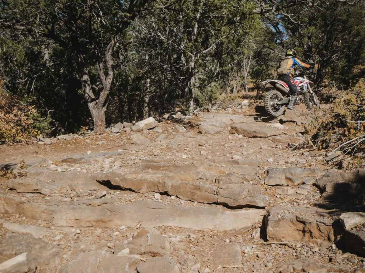 Lone Pine trail photo