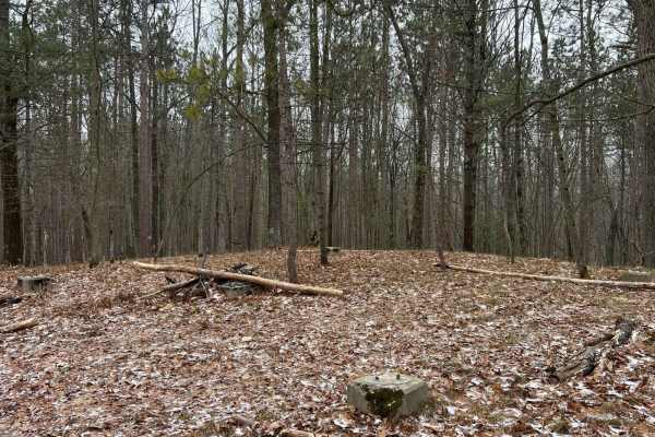 Yates Lookout Tower Trail (NFS 9901)