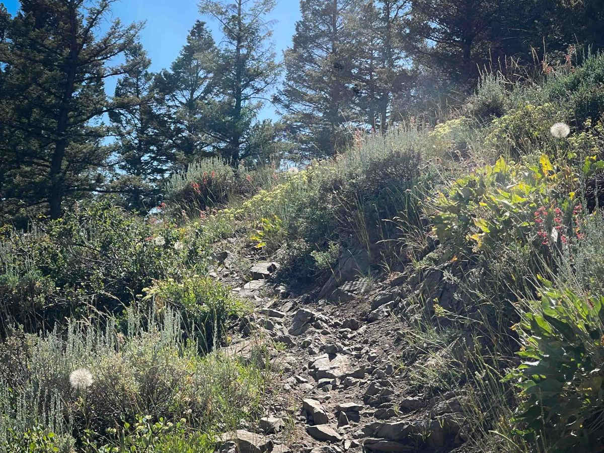 Twin Creek photo 3