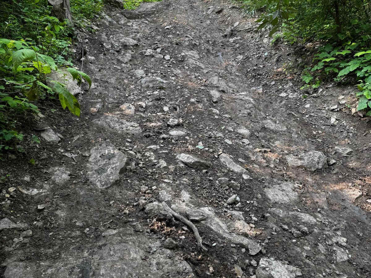Memphis' Hill 87 photo 2