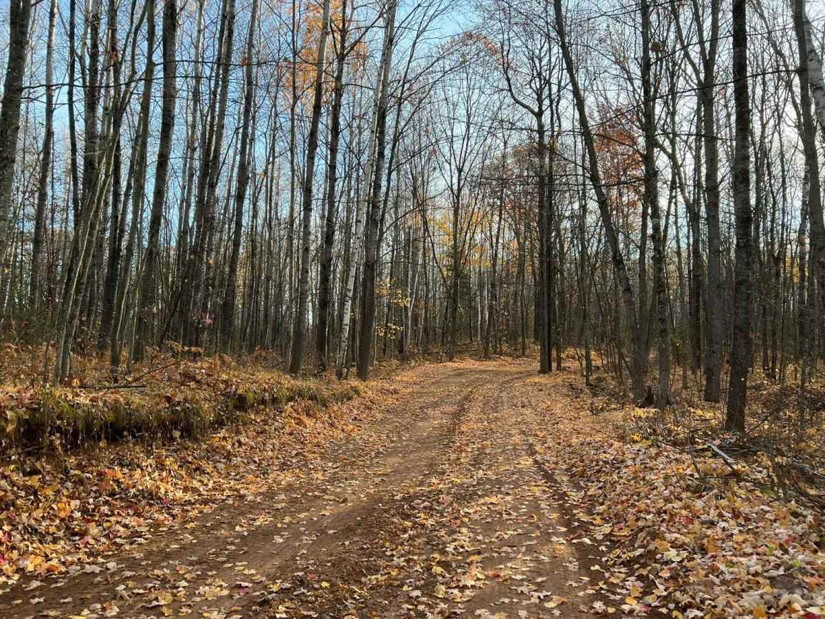 Marinette County 16E/W Pembine photo 2