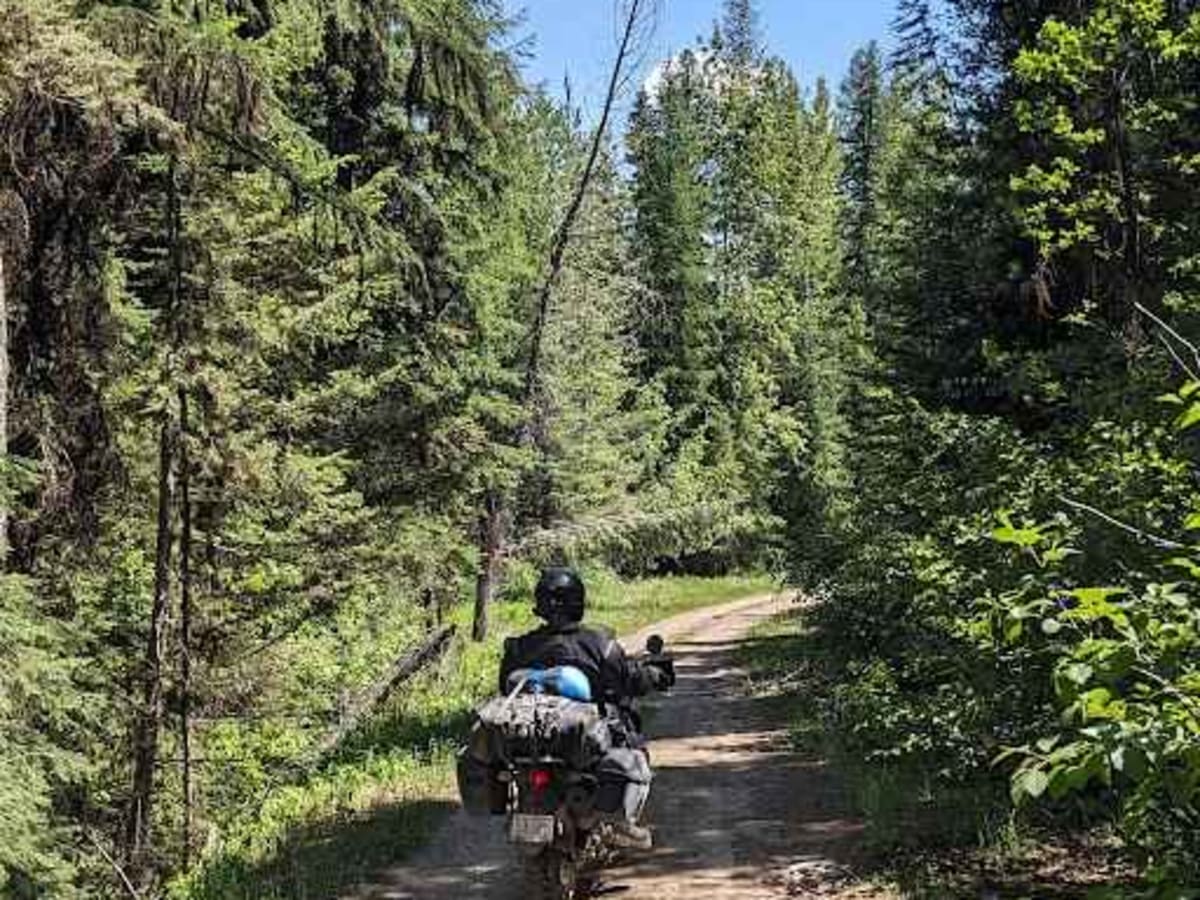 Lodgepole Pass photo 5