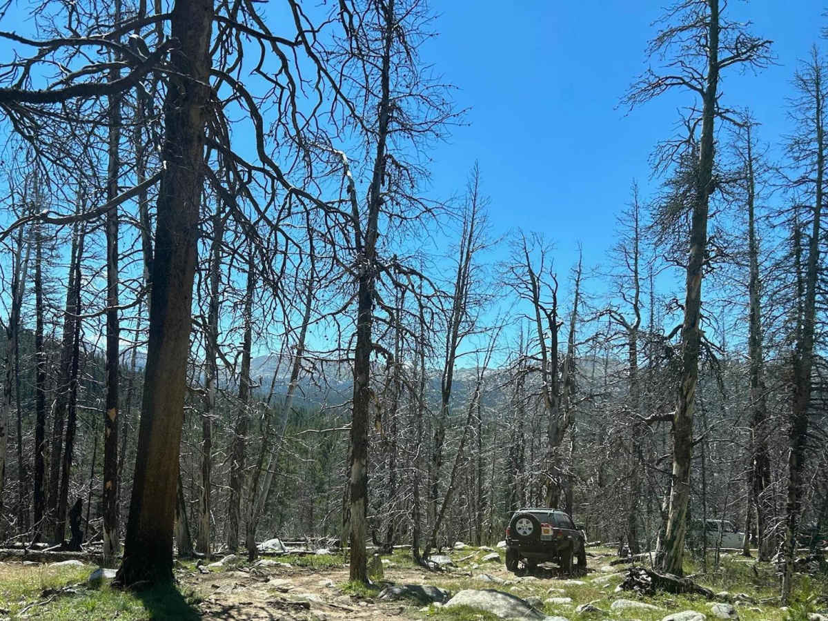 SR 280 Boulder Basin photo 6