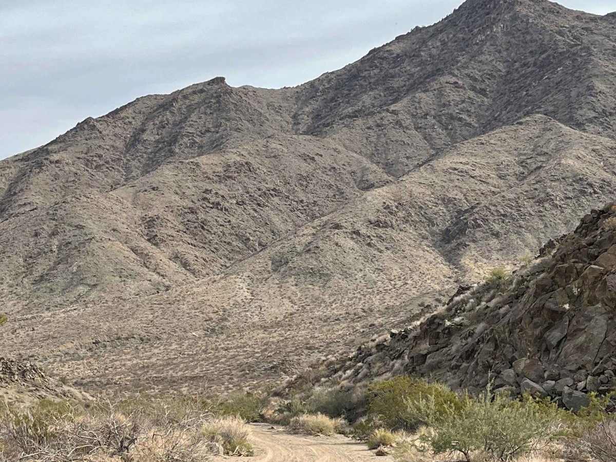 Mead Davis Powerline Road photo 6
