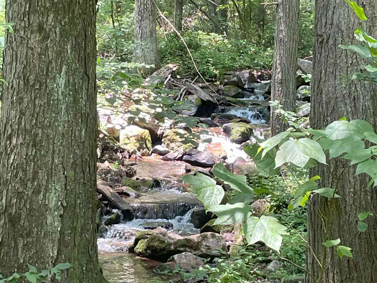 Mile Run Road photo 5