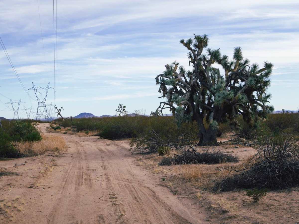 Electric Speedbump photo 5