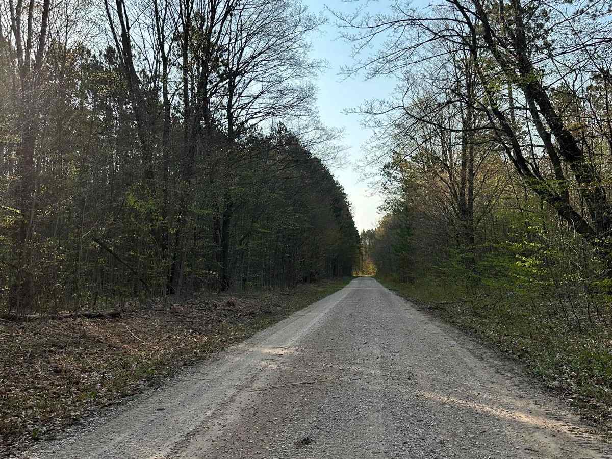 Cadillac Area ORV/OHV Scenic Ride - Part 3 photo 5
