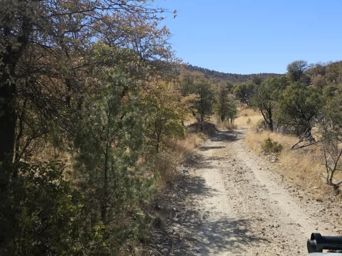 Flying R Ranch/Guajalote Flat Loop - FR 4695 - 4695A photo 6
