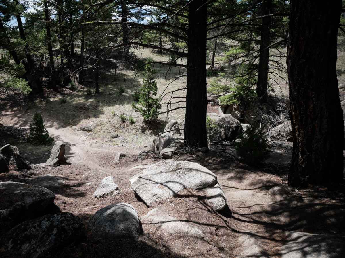 Moto St Downhill trail photo