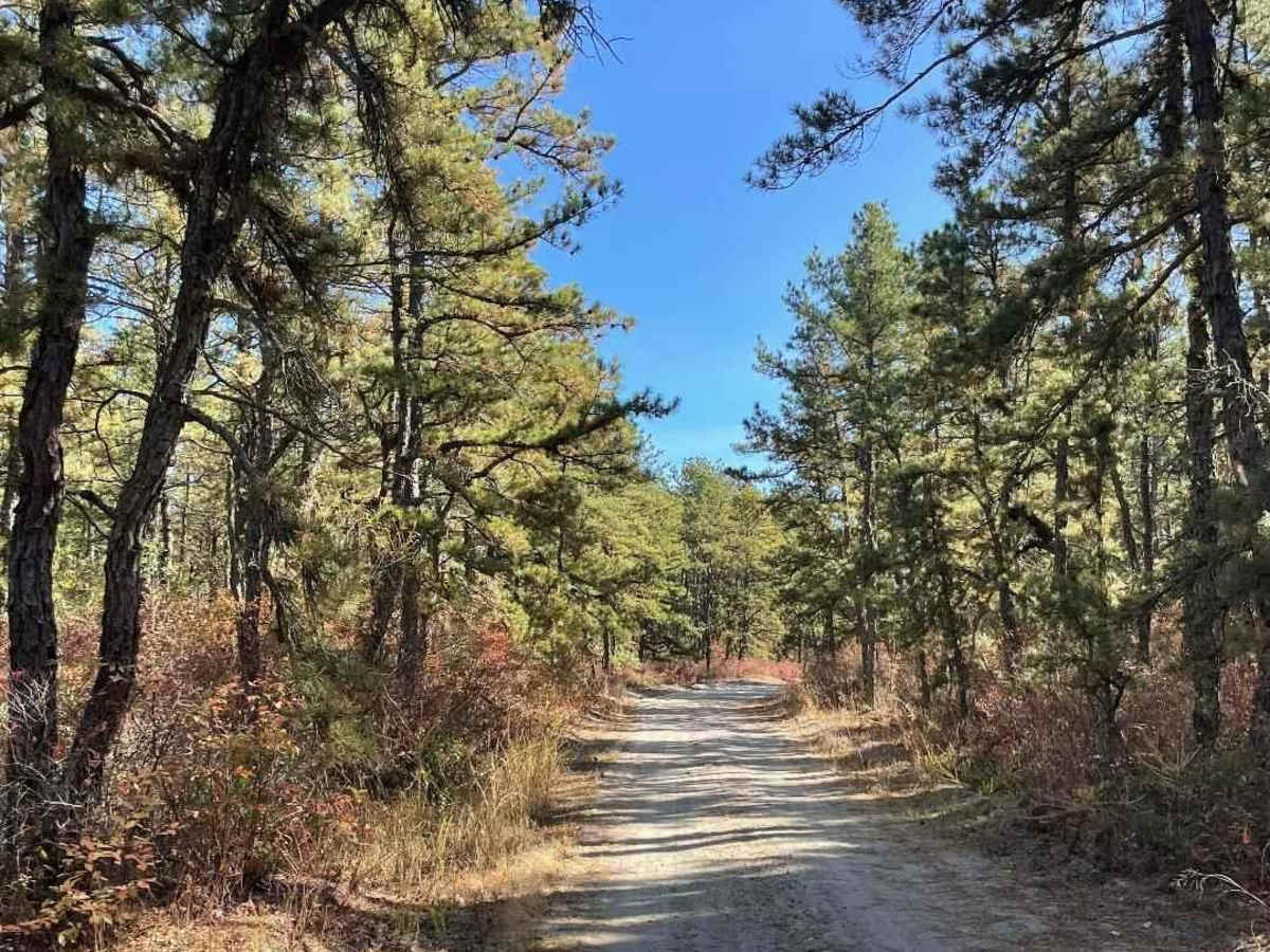 Success Road trail photo