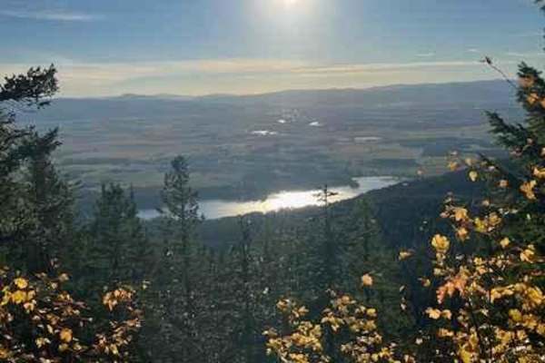 South Fork Hemler Creek
