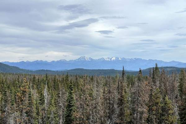 Tripod Flats Trail