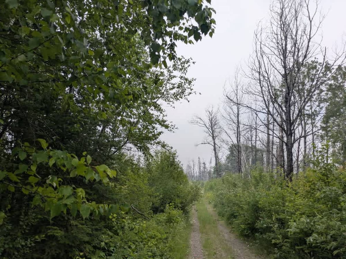 Stony Lookout photo 5