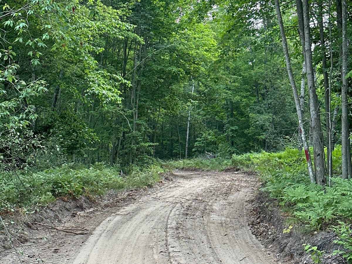 North Haze Road Part 4/48461 photo 5