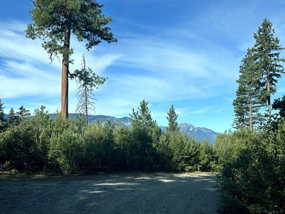 Sepp's Point (Pole Ridge Trail) photo 2