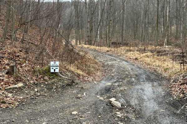 Locust Gap 73