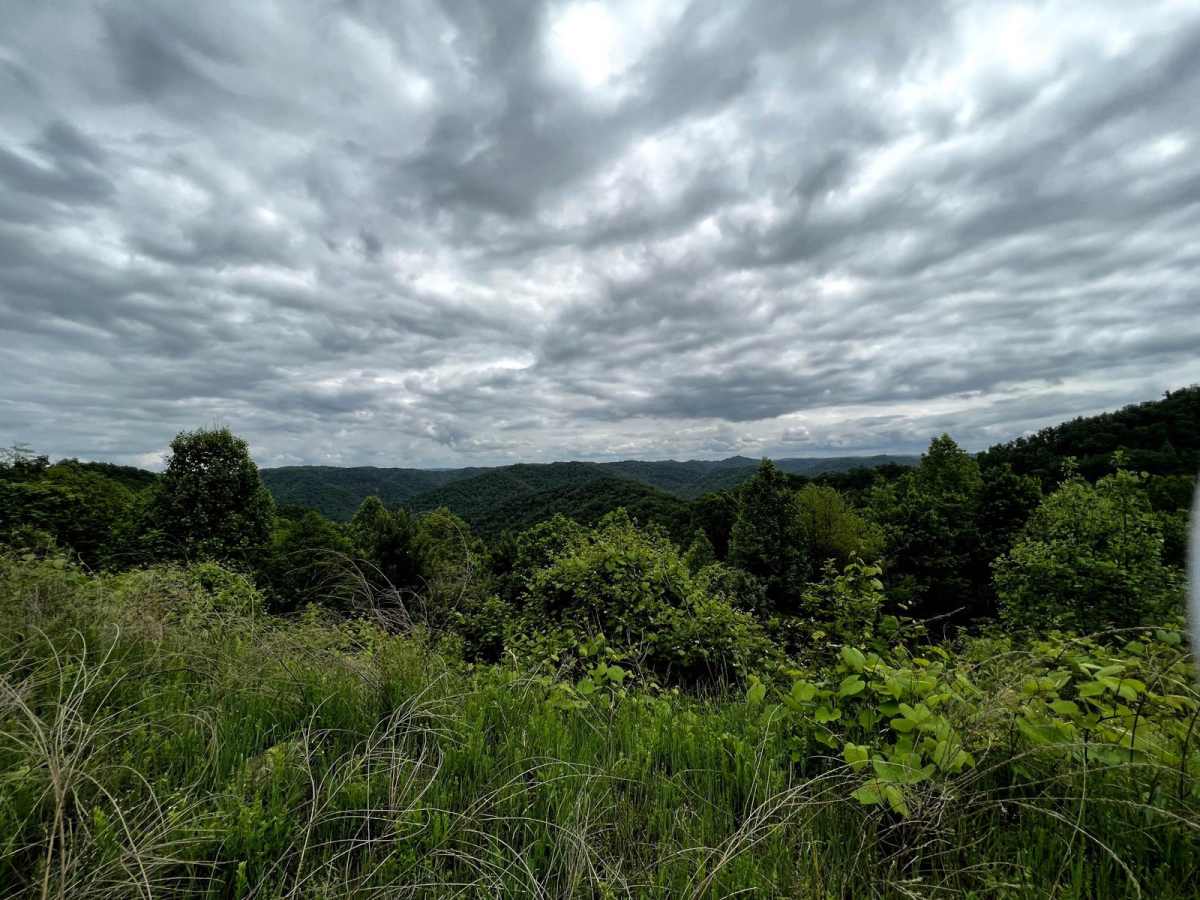 Wild Horse Trail (Lige Hollow) photo 4