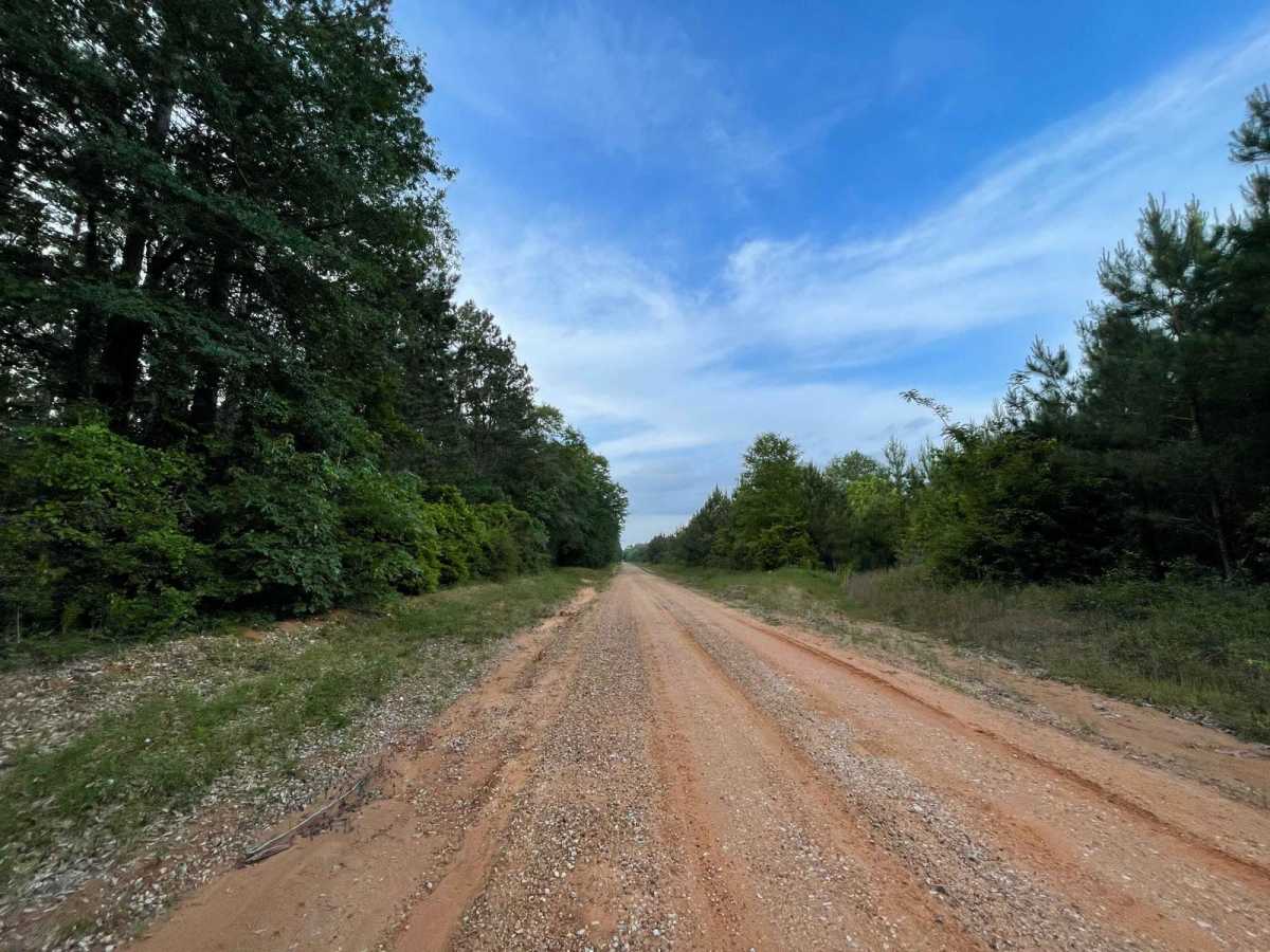 Darden Road photo 2