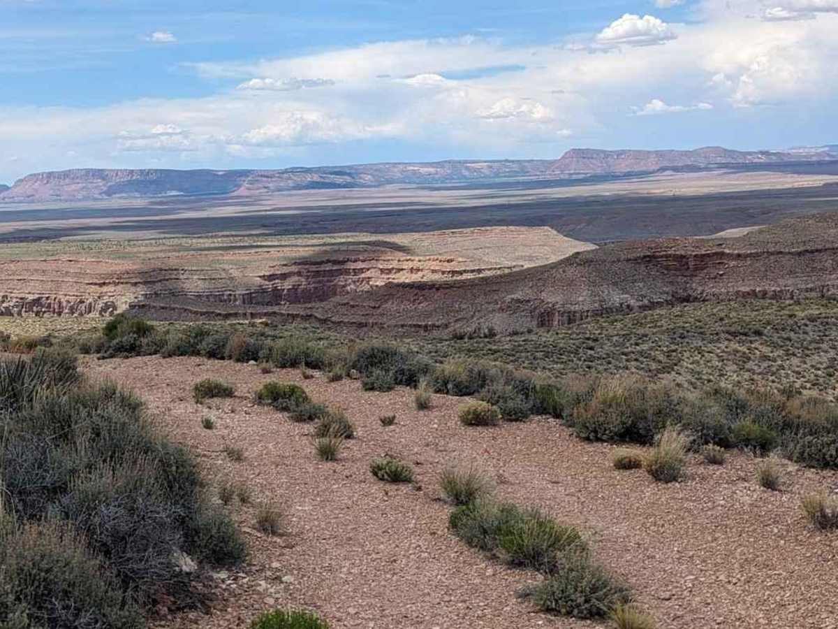 Swapp Tank Trail - BLM176 photo 6