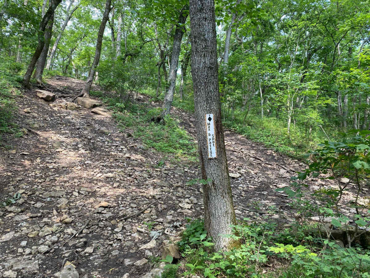 Max and Patty's Spot trail photo