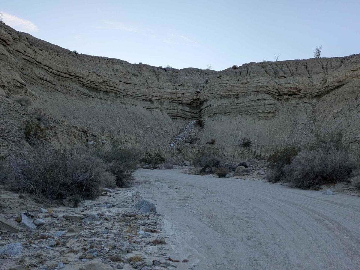 Oyster Shell Wash trail photo