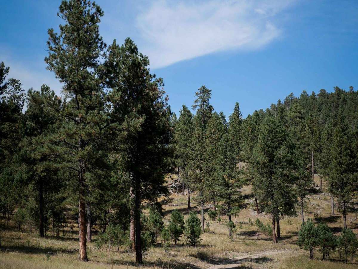 6301 trail photo