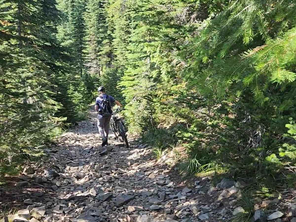 Strong Creek OHV Route photo 2